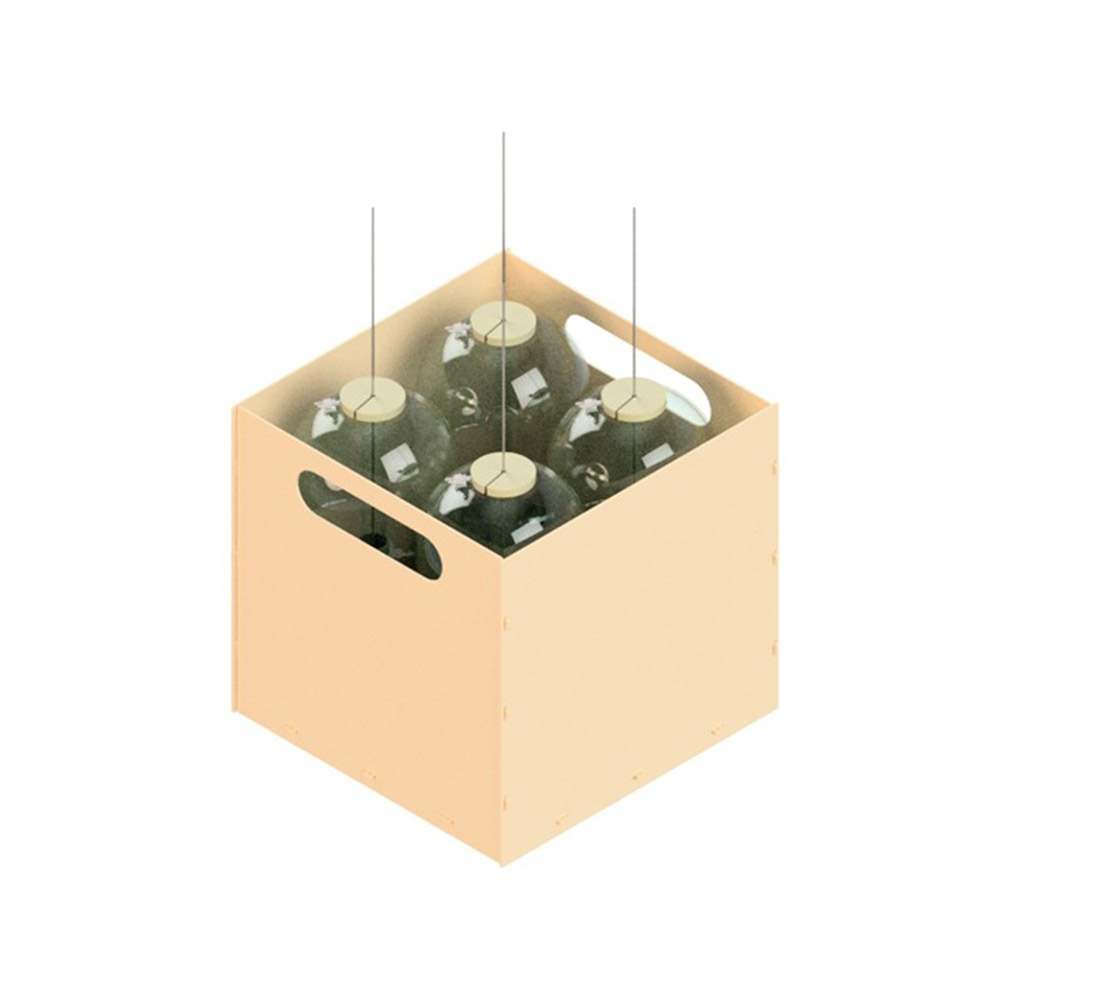 Rattenkugel-Flex-Box1