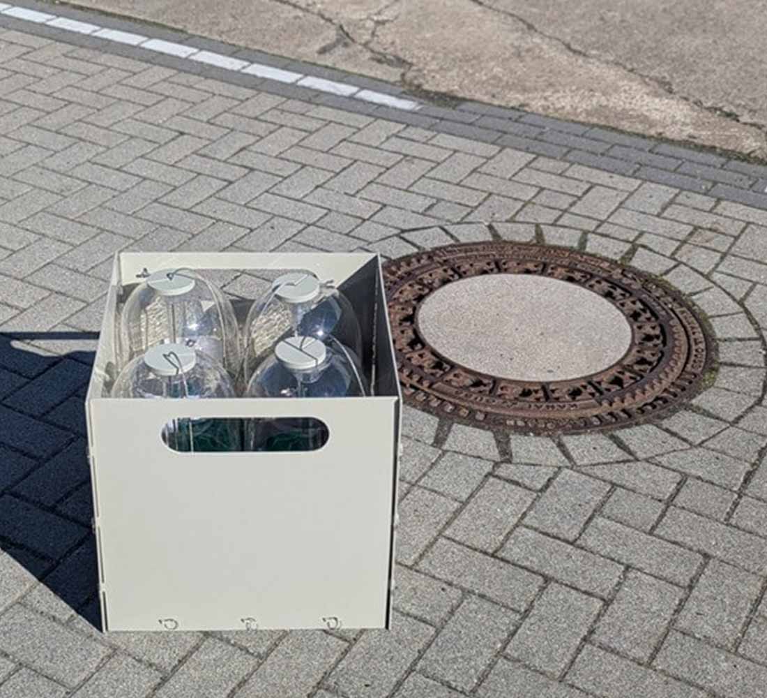 Rattenkugel-Flex-Box5